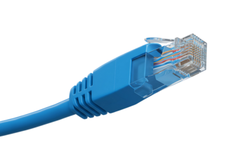 Close up of a blue ethernet network cable connector with visible wires isolated on transparent background