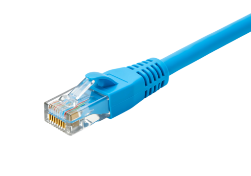 Close up of a blue ethernet network cable connector with visible wires isolated on transparent background