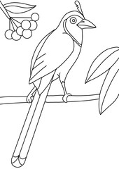 bird on a branch