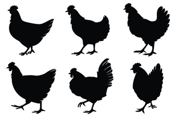 Chicken, hen, and rooster silhouette vector set – farm poultry animal icons collection