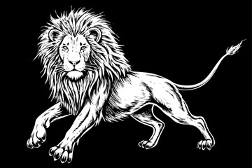 lion black and white