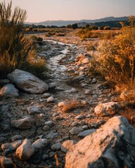 Dry riverbed with scattered rocks and sparse vegetation under warm light during a drought, storytelling moment showing dryness, realistic textures and soil cracks.