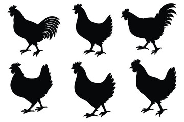Chicken, hen, and rooster silhouette vector set – farm poultry animal icons collection