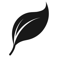 black and white leaf