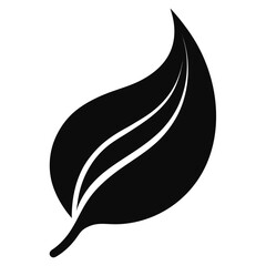 vector illustration of a leaf