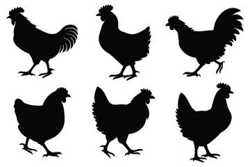 Chicken, hen, and rooster silhouette vector set – farm poultry animal icons collection
