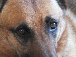 Un regard qui en dit long