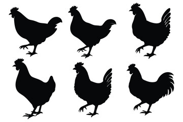 Chicken, hen, and rooster silhouette vector set – farm poultry animal icons collection