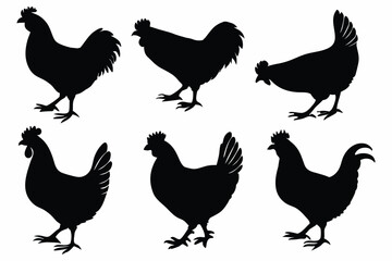 Chicken, hen, and rooster silhouette vector set – farm poultry animal icons collection