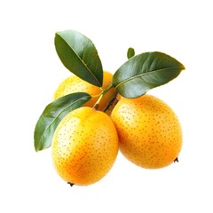 Loquat isolated on a white background.