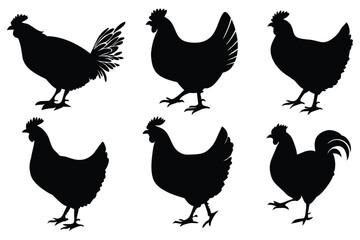 Chicken, hen, and rooster silhouette vector set – farm poultry animal icons collection