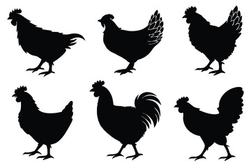 Chicken, hen, and rooster silhouette vector set – farm poultry animal icons collection