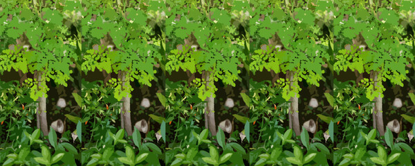 Moringa Tree with Lush Green Leaves – Vector Style Botanical Illustration Wallpaper