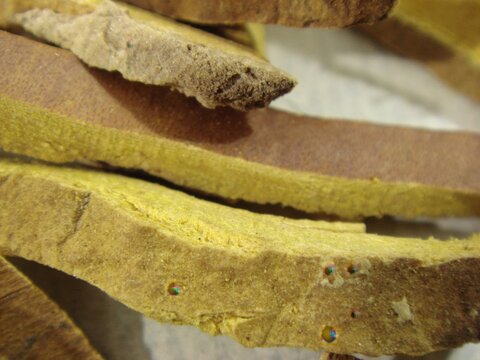 Dried Amur Cork Tree Bark Traditional Korean Herbal Medicine