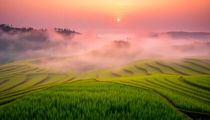 Misty rice terraces at sunrise with soft golden light illuminating the lush landscape.