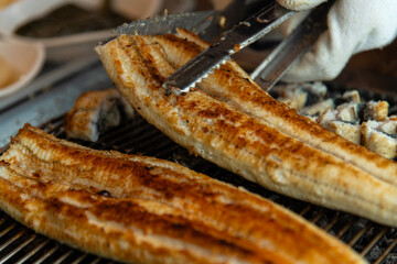 roasting eels on the charcoal grill