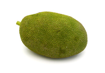 Asian raw cempedak fruit