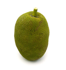 Close-up of unripe Jackfruit growing on tree