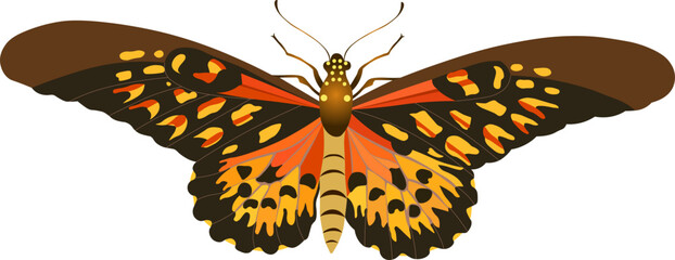 Monarch Butterfly SVG Clipart – Realistic Insect Design