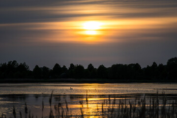 Sunset over Shallow Water Area in Mecklenburg-Vorpommern with Swan and Trees