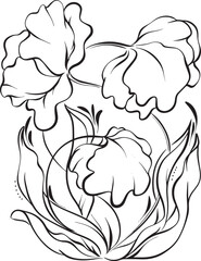 graphic monochrome illustration floral composition