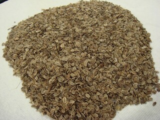 Fennel Seeds for Herbal and Culinary Use
