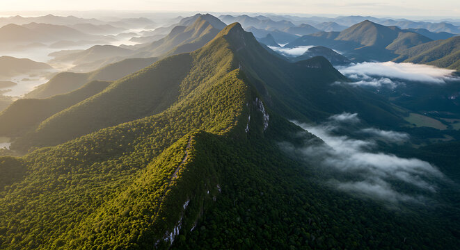 Atlantic Forest mountain range covered in thick green trees and morning fog, seen from a high altitude trail &mdash; Serra do Mar in southeastern Brazil