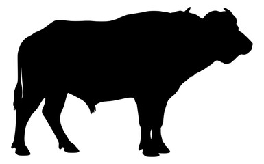 Vector Silhouette Of A Buffalo.