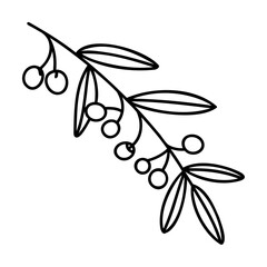 Black line art olive branch with leaves and round olives on white background