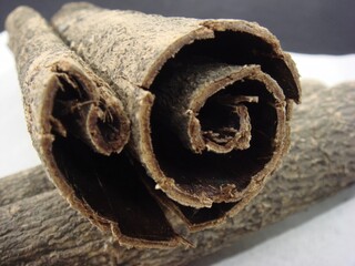 Magnolia Bark Rolled Form Close-up - Traditional Korean Medicinal Herb