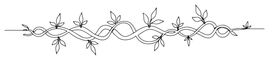 floral decorative border with vine pattern © Wieslaw