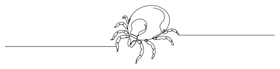 tick insect parasite detailed line art