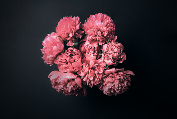 Frontal view of pink peony bouquet in white vase against dark background. Elegant floral still life, clean composition for modern home decor, romantic design or editorial use.