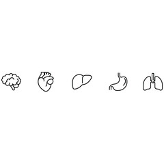 Human body organ icon set with brain heart liver stomach lungs outline illustration for medical healthcare anatomy and biology design.