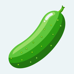 illustration of cucumber
