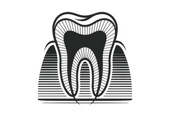 Stylized black and white illustration of a human tooth cross section with roots
