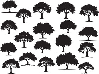 Courtyard Trees Vector Art, Oak tree silhouette, Tree silhouettes on white background vector illustration