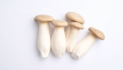 mushrooms on a white background