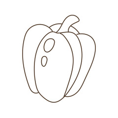 Outline bell pepper with seeds and curved segments in minimalist lineart style isolated on white background