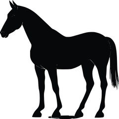 Obraz premium Elegant black horse vector silhouette profile illustration design