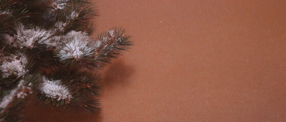 Snowy pine branch on brown background