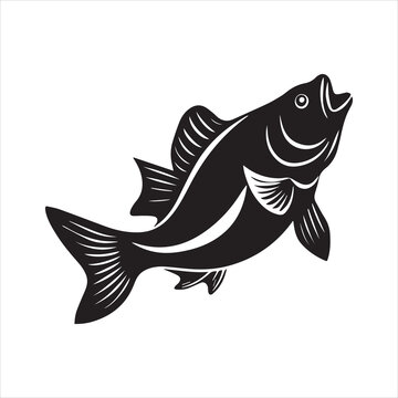 basa sea fish vector illustration