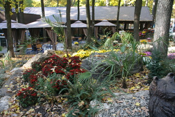 flowers in the garden