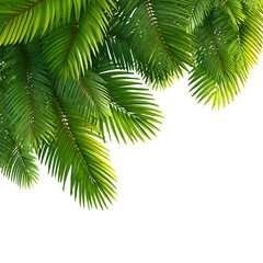 Naklejka premium Lush Green Palm Fronds Tropical Leaf Background for Design on transparent Background