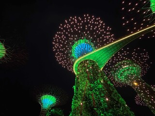 Gardens by the Bay Supertree Grove View, Singapore