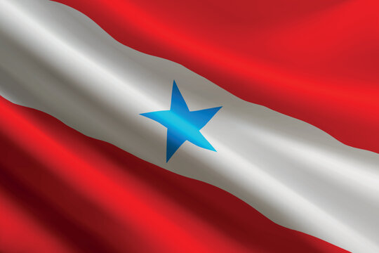 Para flag waving in the wind. State of Brazil