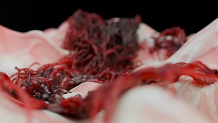 Cancer cell growth uncontrollably over tissue, Tumor infection cells and spreading, Invasive inflammation metastasis cancerous. reproduce by duplicating, cells expanding, Melanoma Cancer, 3d render