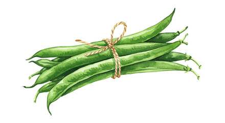 A Vivid Watercolor Vector Depicts A Single Fresh Green Chili Pepper Its Smooth Skin Highlighted With Subtle Shadows Against A Clean Textured Background