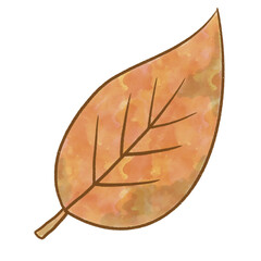 手描き水彩の落ち葉イラスト｜秋の自然モチーフ素材	
