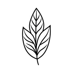 boho style botanical leaf illustration drawing